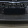 Защита радиатора "Standart" Kia Rio рестайлинг (2020-н.в.) чёрная купить недорого с доставкой в Воронеж